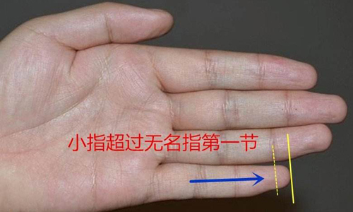 小指过三关，到老有吃穿，小拇指长的手相俗语解密