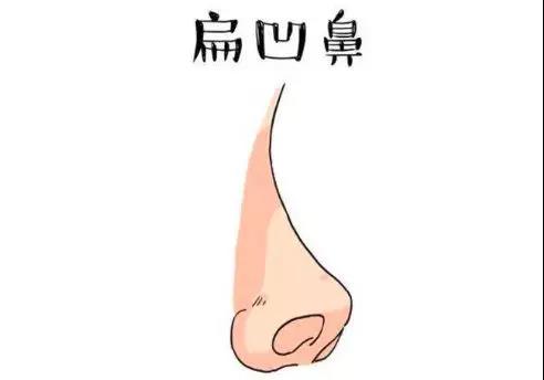 鼻子